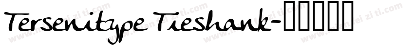 Tersenitype Tieshank字体转换
